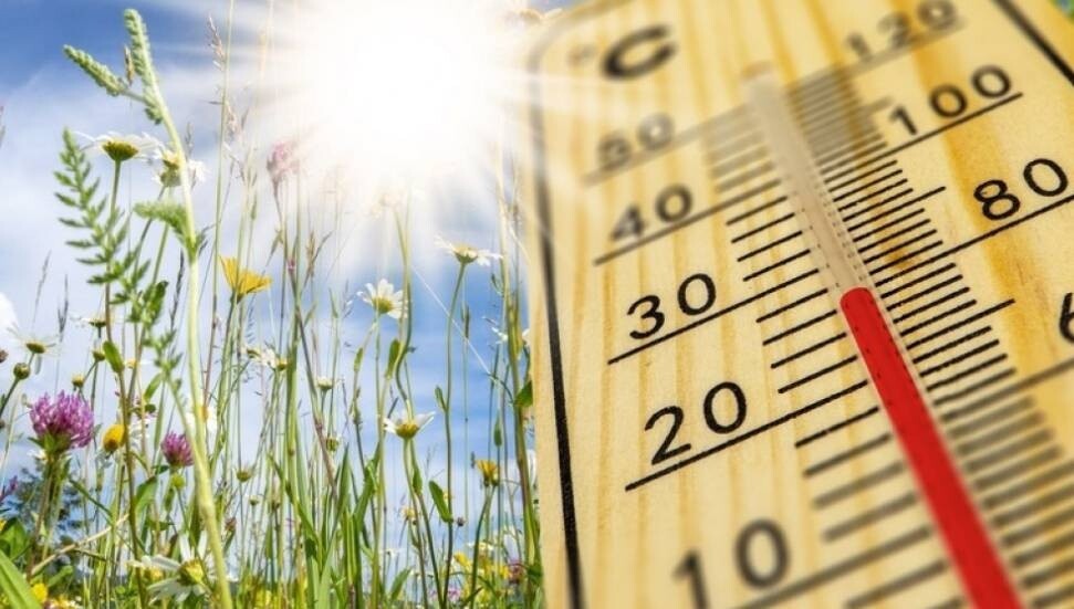 Ilık ve nemli hava etkisini sürdürüyor