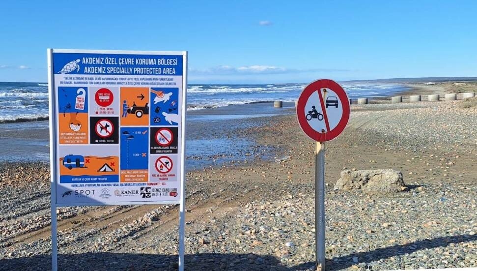 Akdeniz Özel Çevre Koruma Bölgesi’nde deniz kaplumbağalarını korumak için levhalar dikildi