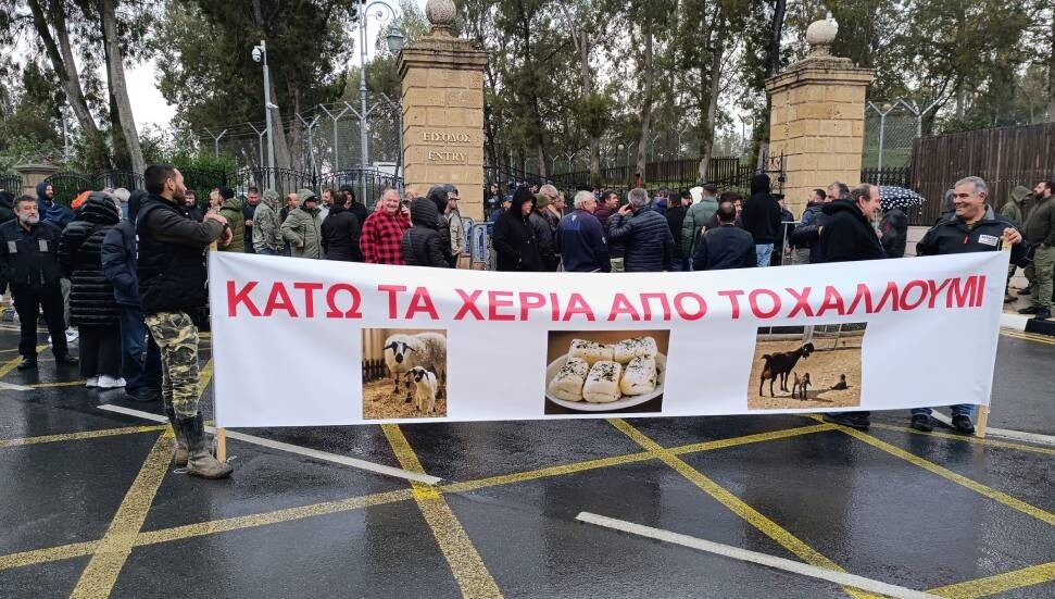 Küçükbaş hayvancılar, Rum Başkanlık Sarayı önünde protesto gerçekleştirdi