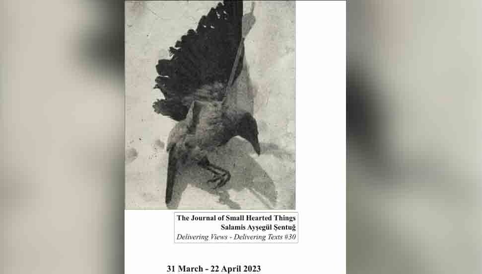 Salamis Ayşegül Sentuğ’un, “Küçük Kalpli Şeylerin Jurnali” isimli kitabı tanıtıldı