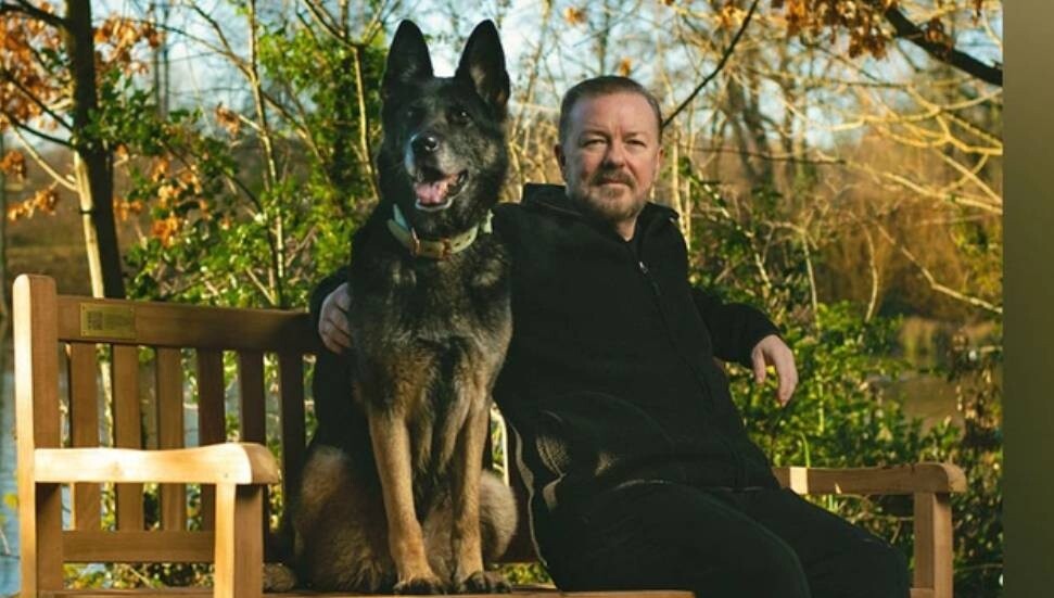 ‘After Life’ dizisinde Ricky Gervais ile rol arkadaşı olan köpek ‘Anti’ öldü