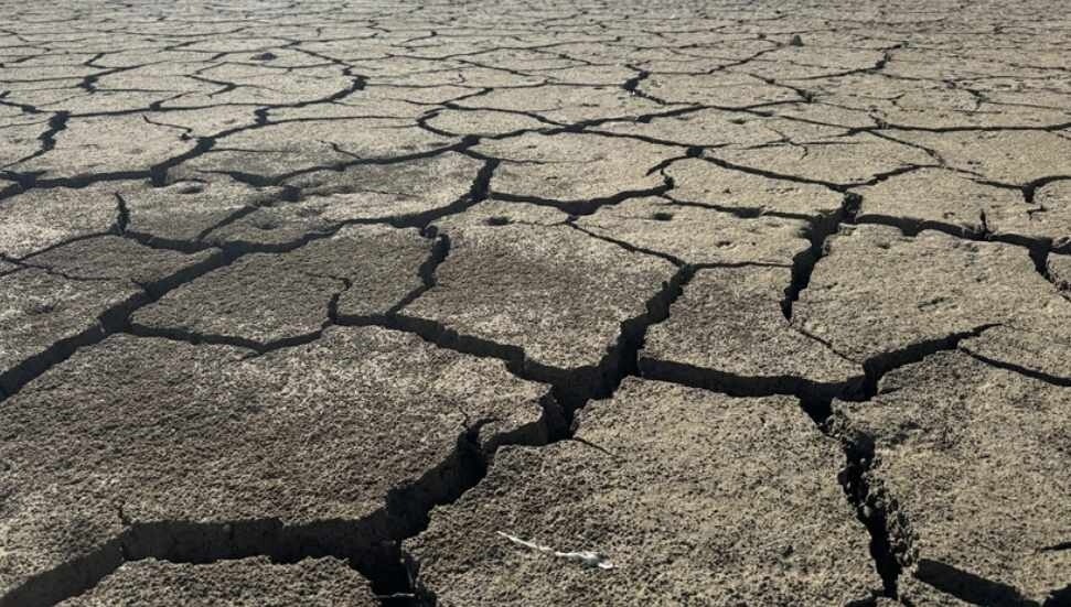 Rum Meclis Başkan Vekili Kulias Kıbrıs’ın yüzde 91’i çölleşme riski altında