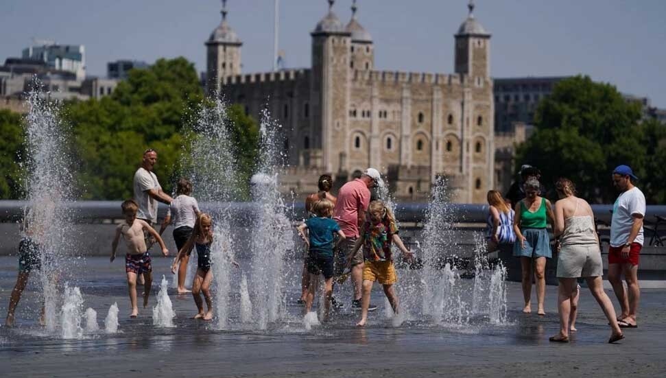 Londra, iklim değişikliğiyle 2060'ta tropik hastalık yayan sivrisineklere savunmasız kalacak