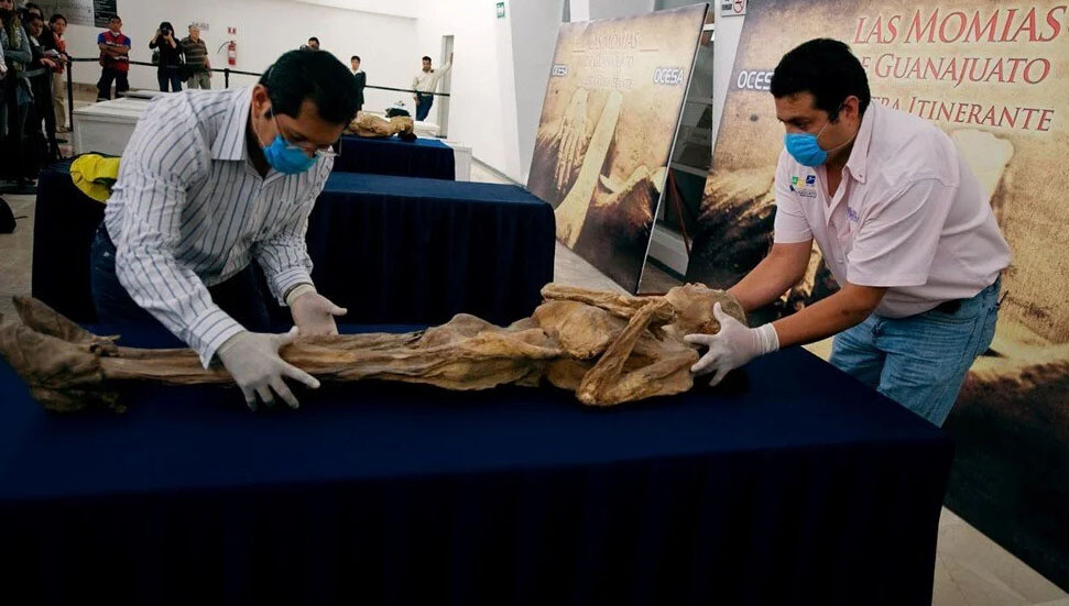 Mumya "geri döndü": Uzmanlardan "sakın yaklaşmayın" uyarısı