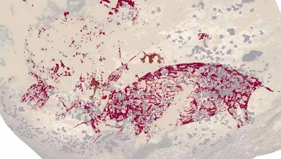 Dünyanın en eski mağara resmi bulundu