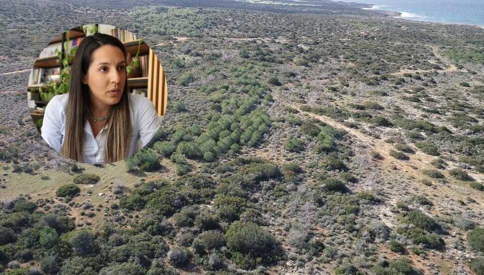 Feriha Tel: Adalet arayanlar komiteye çağrılmıyor, Meclis kimin adına yasa yapıyor?