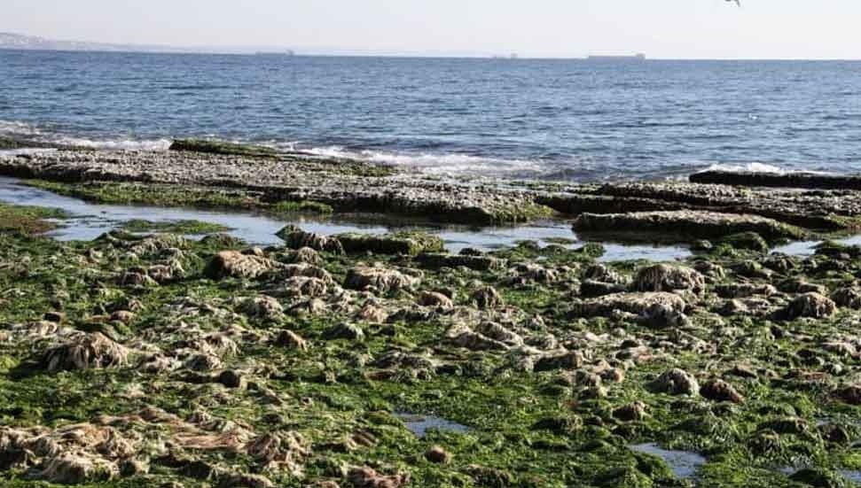 Kandilli Rasathanesi: Marmara Denizi'nde suyun çekilmesi deprem kaynaklı değil