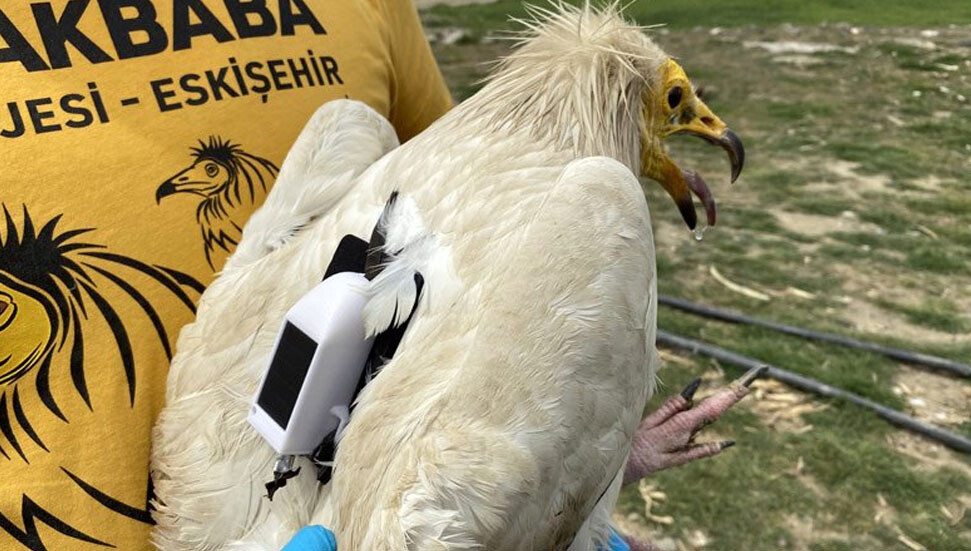 Uydudan takip edilen Midas, 1 yılda 32 bin kilometre uçtu