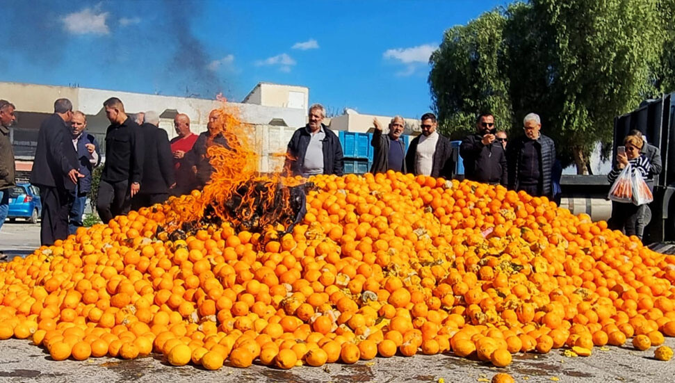 Erkut Şahali: "Narenciye yanmaz" deme, yanar!