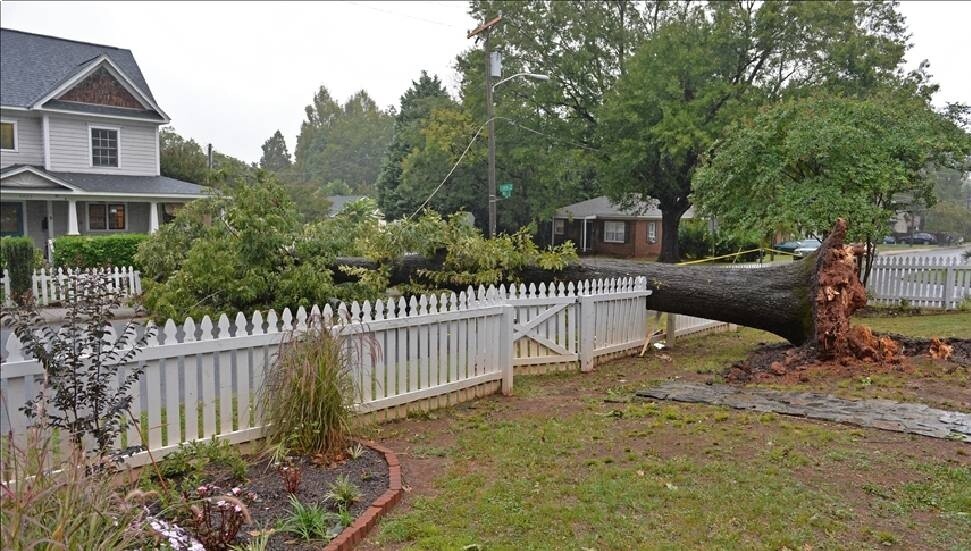 ABD'nin Florida eyaleti, bugün karaya ulaşacak Nicole Kasırgası'na hazırlanıyor