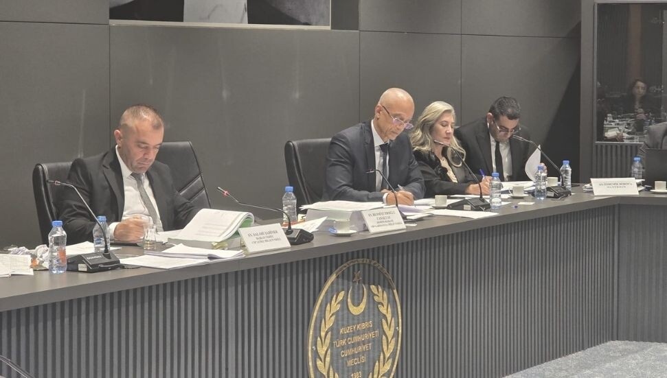 Sayıştay bütçesi kabul edildi; Alas, "sayıştay tek başına yolsuzlukların önüne geçemez" dedi