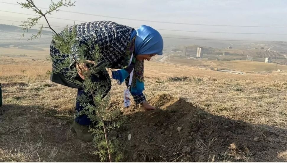 Türkiye'de 81 il ve Kuzey Kıbrıs'tan öğretmenler Atatürk Orman Çiftliği'nde fidan dikti