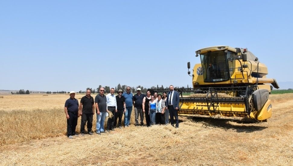 Reşatbey Arpası’nın hasadı tamamlandı: Üreticiler veriminden memnun