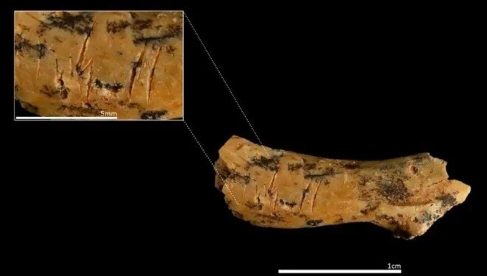 İspanya’da 850 bin yıllık insan yamyamlığına dair ilk kanıtlar bulundu