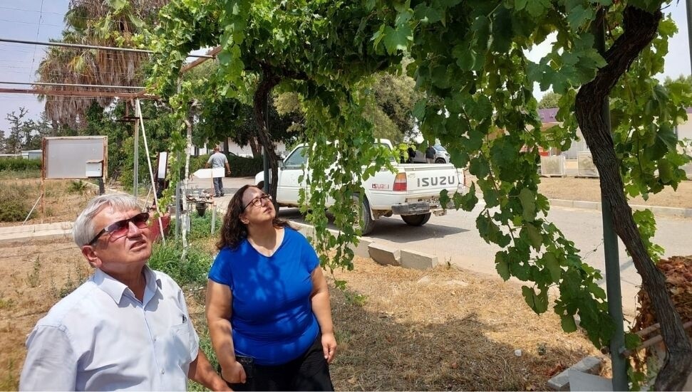 Bağcılıkta yeni dönem: 12 üzüm çeşidi İtalyan talvarında denenecek