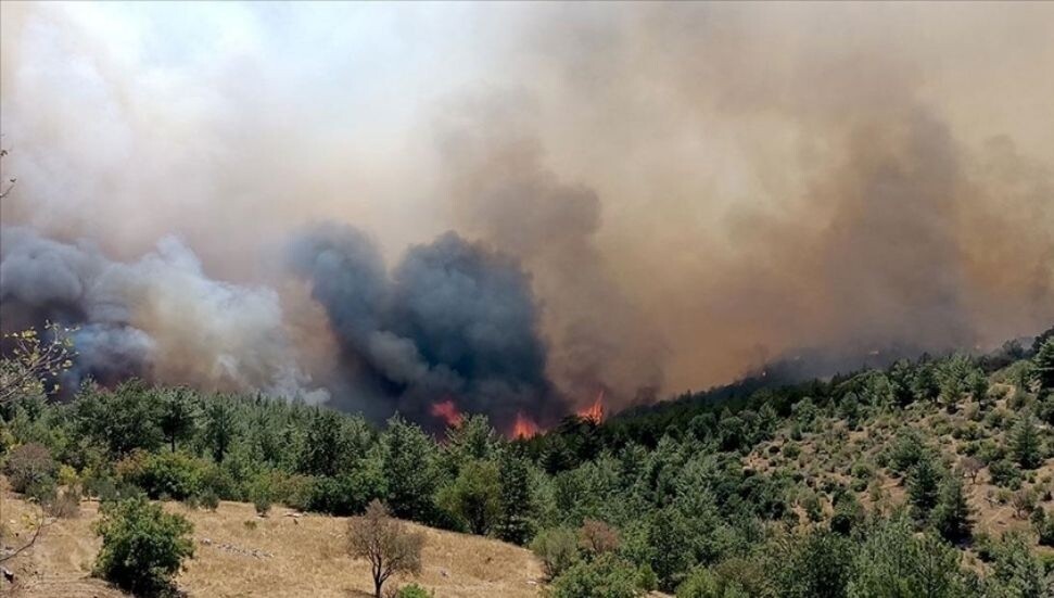 Mersin'de ormanlık alanda yangın çıktı