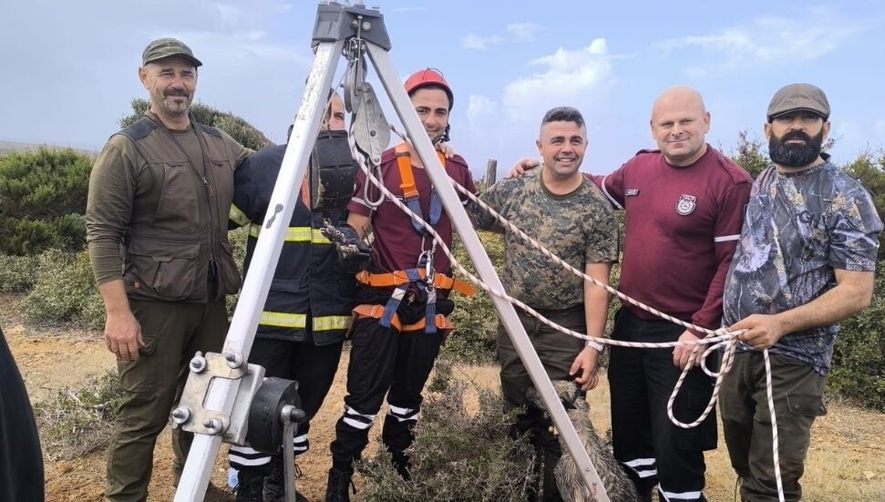 Sadrazamköy’de kuyuya düşen köpek itfaiye tarafından kurtarıldı