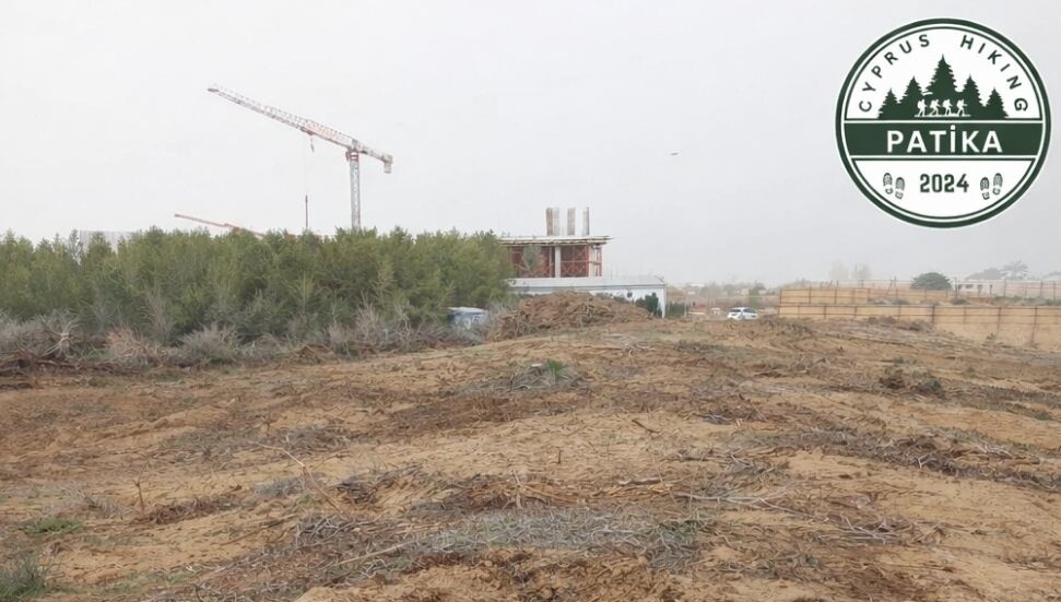 Patika Derneği’nden 21 dönümlük orman arazisinin kiralanması'na tepki: Ormanı yok edenleri durdurun