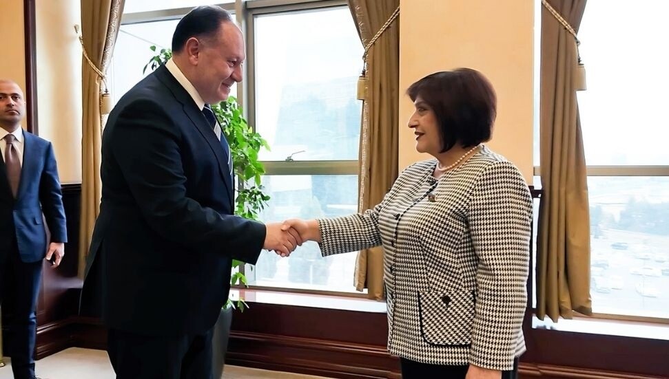Ziya Öztürkler, Azerbaycan Milli Meclisi Başkanı Gafarova ile görüştü