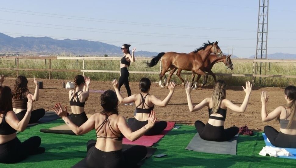 “Atlarla Yoga” etkinliği doğa ve huzuru bir araya getirdi