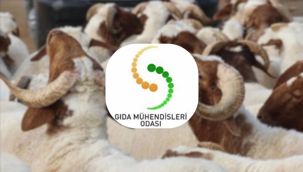 Gıda Mühendisleri Odası’ndan Kurban Bayramı uyarısı: Et tüketiminde hijyen ve soğuk zincire dikkat