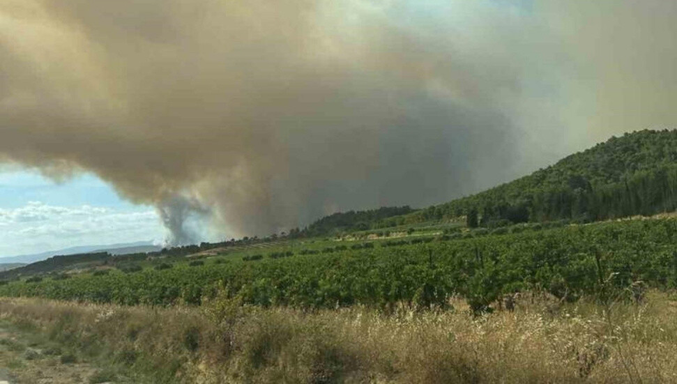 Fransa'daki Drome orman yangınında 115 hektarlık alan küle döndü