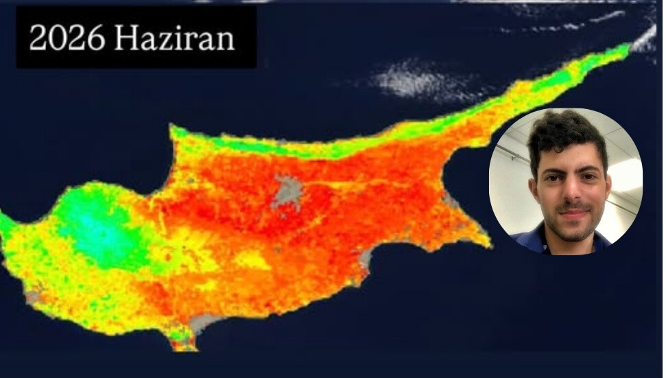 Ergün Bey: Serin geçen haziran, Kıbrıs ormanlarında fotosentezin sürmesine katkı sağladı