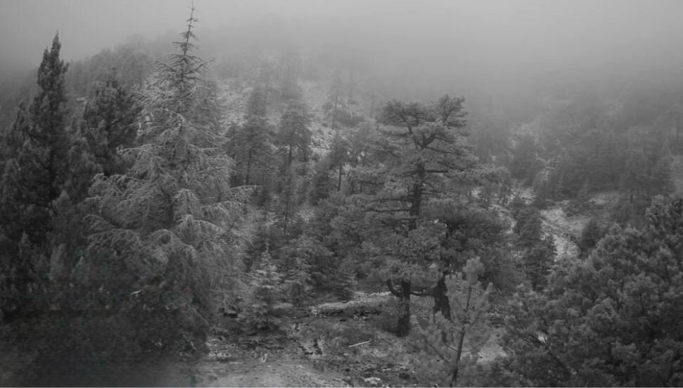 Trodos dağlarına yılın ilk karı düştü
