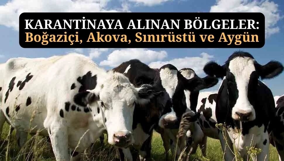 Tarım Bakanlığı: Şap hastalığı teyit edildi, Boğaziçi köyü karantinaya alındı