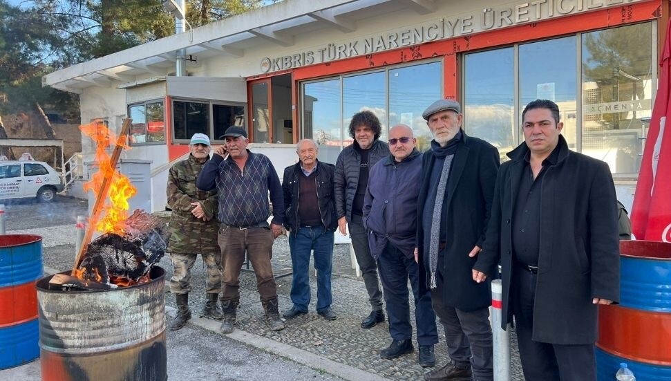 Narenciye Üreticiler Birliği’nden Cypfruvex'e: Paketleme tesisinin kapatılması üreticiyi zarara uğrattı