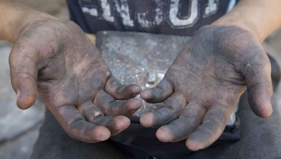 ABD, yasa dışı göçmen çocuk işçiliğini soruşturacak