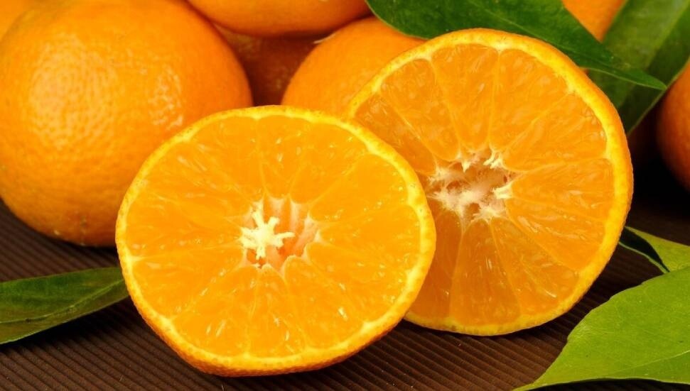 Cypfruvex, yurt dışından narenciye sıkma makinesi kiralıyor