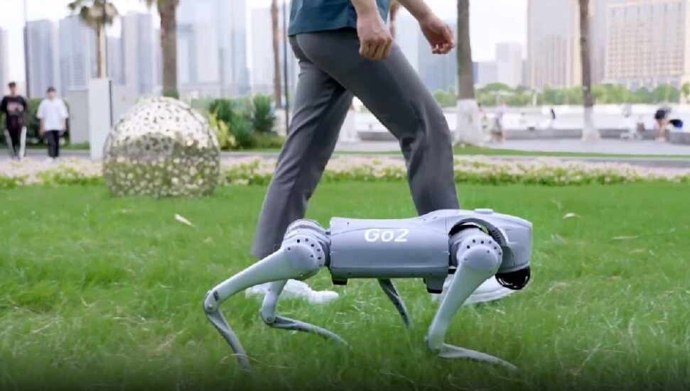 Robot köpek tartışma yarattı: Sadık bir dost mu, ürkütücü bir teknoloji mi?