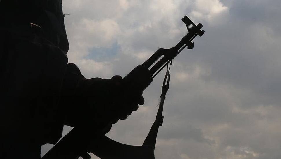 2024 Rum Millî Muhafız Ordusu’nun silahlanma programlarını tamamlama yılı