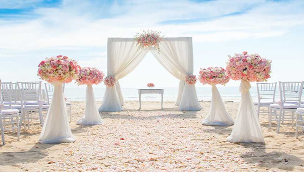 Türkiye’de düğün genelgesi: Gelin ve damat hariç halay yasak