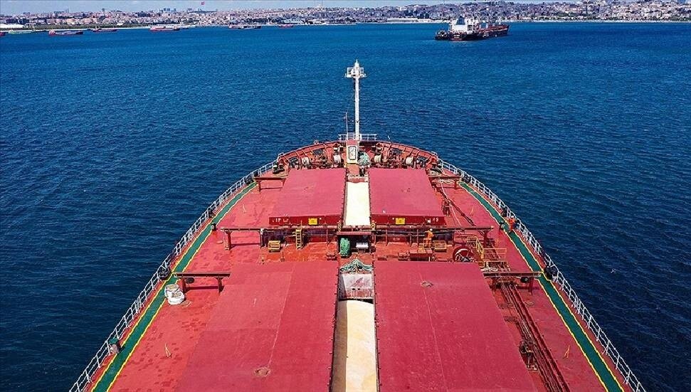 Ukrayna'dan yapılan tahıl ihracatında Türkiye başı çekti