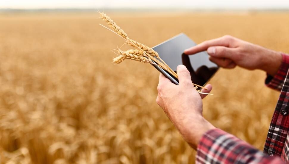 ABD'de tarım krizi: İşçilerin yüzde 70'i ülkeden ayrıldı