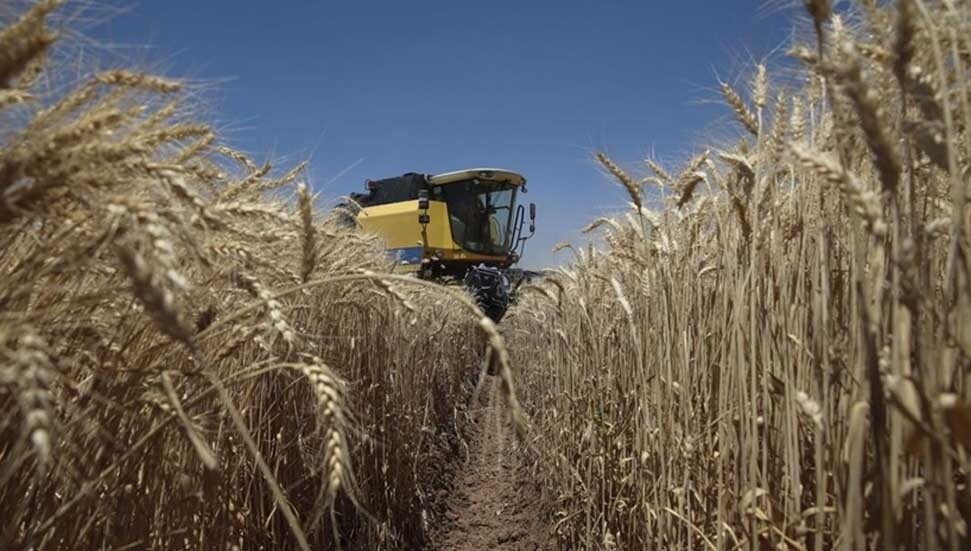 Türkiye’de Tarım ÜFE Aralık 2023'te aylık yüzde 6,34, yıllık yüzde 52,66 arttı