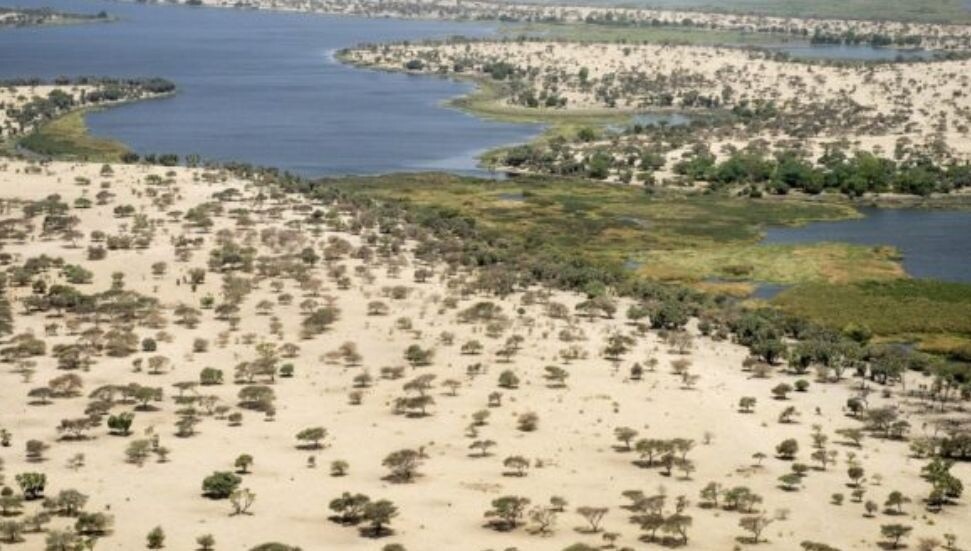 Afrika'nın can damarı Çad Gölü kurumaya devam ediyor