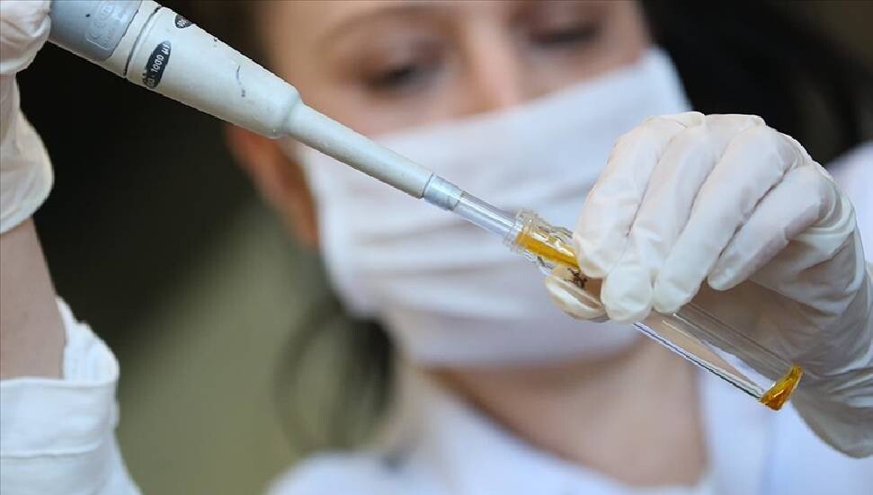 Kanser araştırmalarında yeni dönem: Yapay zekayla şeffaf görüntüleme