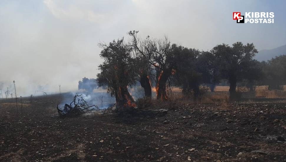 Ertuğrul Toroslu: Ağıllar köyündeki yangına yerden müdahale ediliyor, helikopter hazır bekliyor