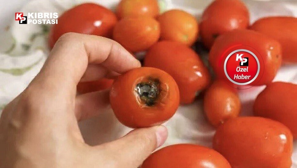 Türkiye’de 30, Güney’de 35, KKTC’de 100 TL: Üstelik çürük!