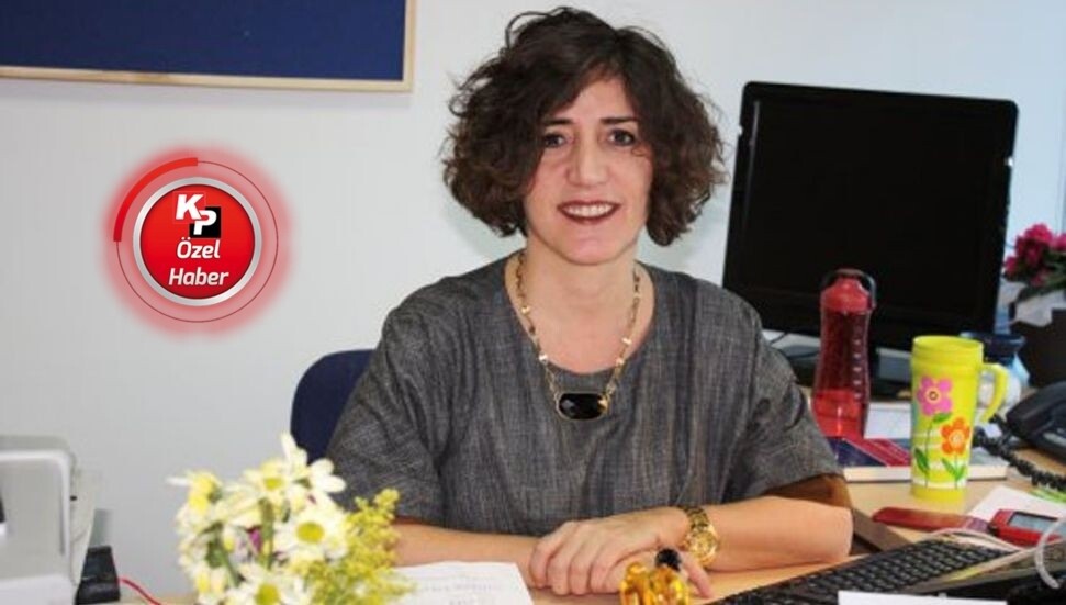 Nilgün Arısan: Erhürman’ın çözüm vizyonu, Türkiye’nin de destekleyebileceği bir zemin sunuyor