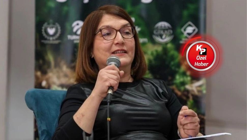 TKÖD Başkan yardımcısı Mutluyakalı: Trafik kazaları toplumsal trajediye dönüştü, bakan 'gayrıciddi'