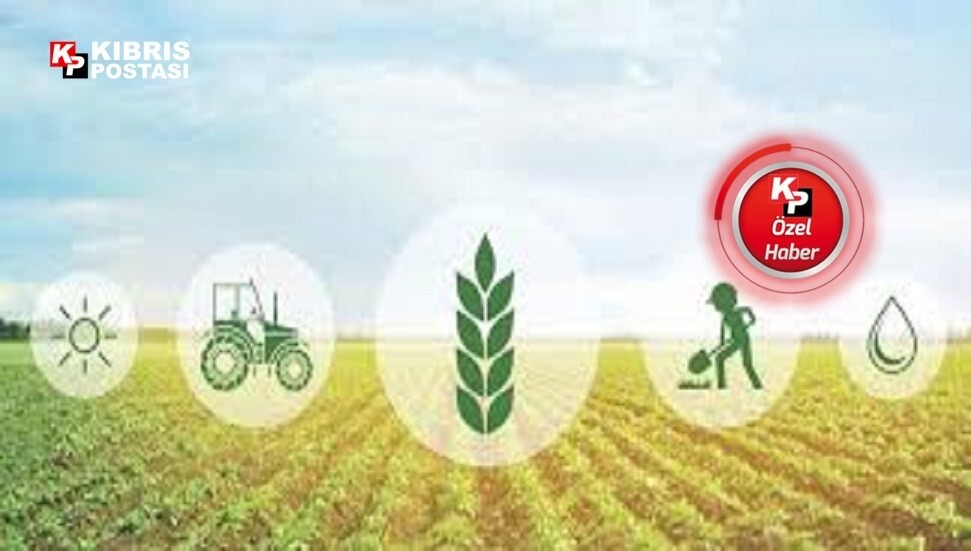 Tarım Bütçesi nakit transferlerine dayanıyor