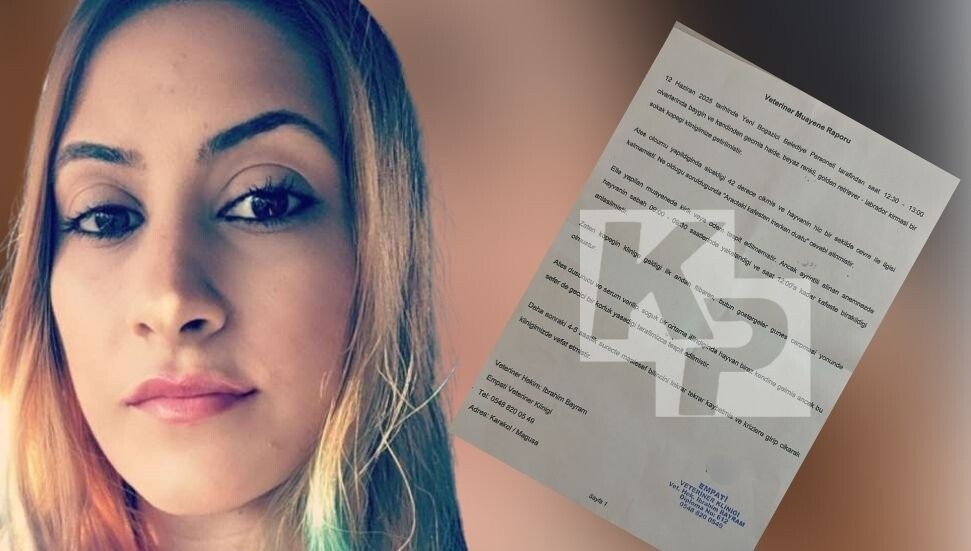 Altın Patiler Derneği’nden Tutar, veteriner raporu paylaştı: Yeniboğaziçi’nde yaşananlar ilk değil