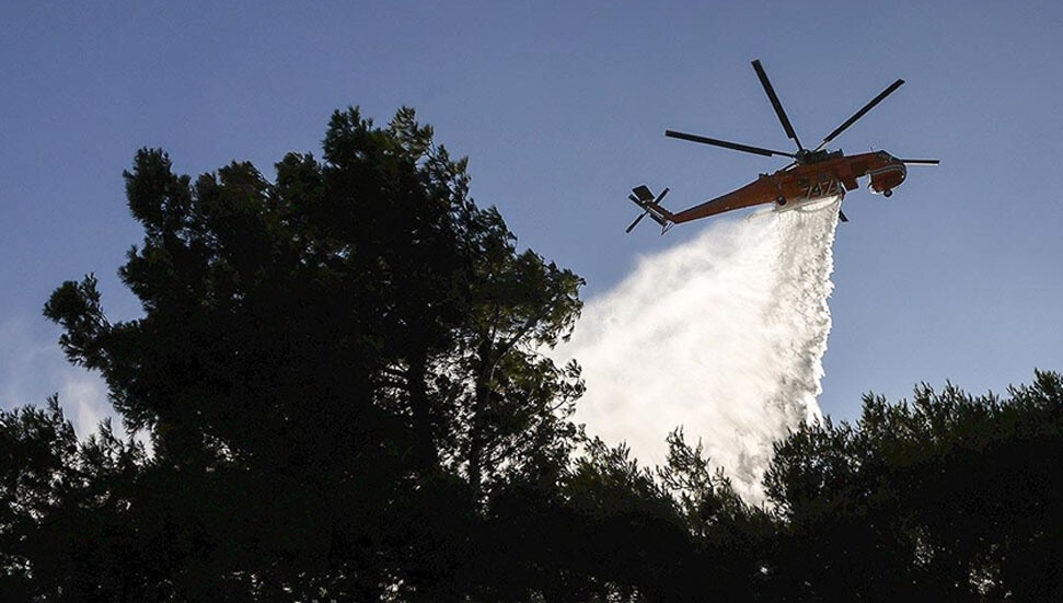 Atina'ya yaklaşık 60 kilometre uzaktaki Oropos'ta orman yangını çıktı