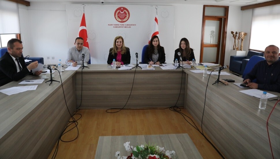 Cumhuriyet Meclisi Ekonomi, Maliye, Bütçe ve Plan Komitesi bugün toplandı