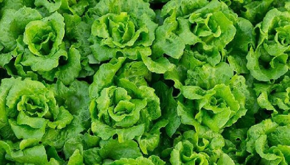 3 üründe bitki koruma ürünü tespit edildi