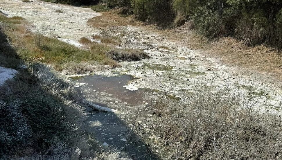 Feriha Tel'den İskele Belediyesi'ne tepki: Çevre Koruma Dairesi’ni göreve davet ediyoruz!